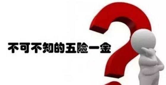 五險一金好還是社保好？ 第1張