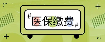 成都市城鄉(xiāng)居民醫(yī)保資助標(biāo)準(zhǔn)是多少？ 第1張